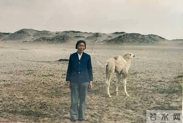 骑尼玛：“守边奶奶”尼玛：18万公里巡边路，53载家国情