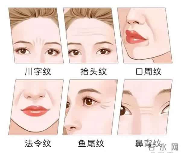 化妆品免费试用