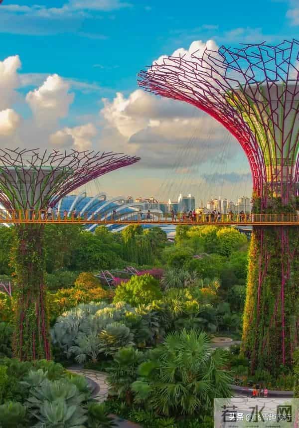 印度自助游:新加坡自由行必备,一文解锁签证,景点,吃住玩超详细攻略