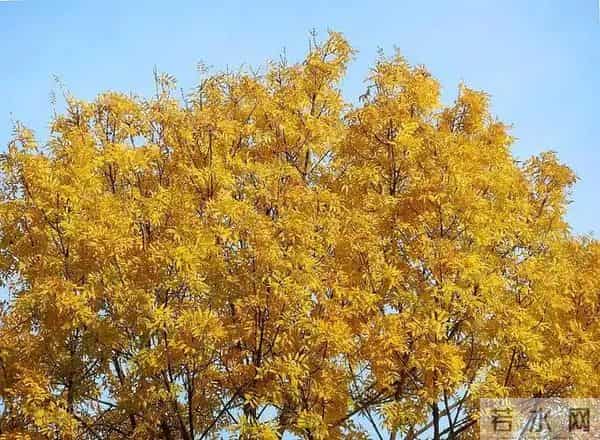 我还是觉得幸福更多