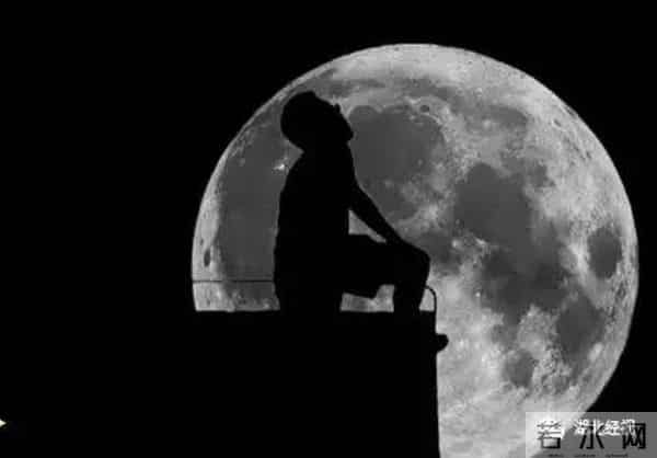 冷的噻:冷得噻!武汉多处湖泊结了冰!市民:能踩着玩吗?丨最武汉