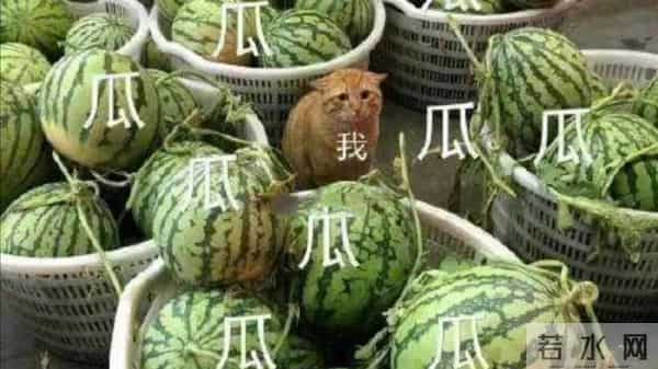 吾疆:王力宏舍不得给李靓蕾的四亿豪宅“吾疆”,到底有多壕?