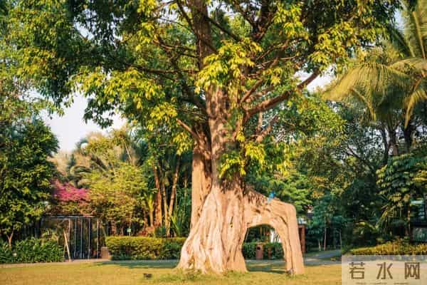 西双版纳住宿攻略推荐