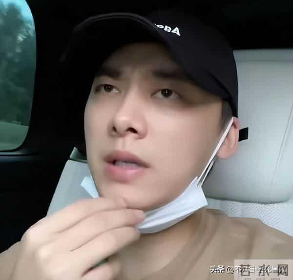 台媒曝王力宏嫖娼细节!化名张先生玩一夜情