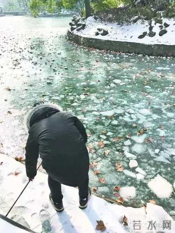 冷的噻:冷得噻!武汉多处湖泊结了冰!市民:能踩着玩吗?丨最武汉