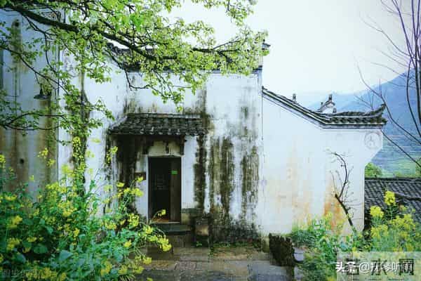 宋亚轩中考成绩多少分