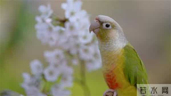 涪陵到大木花谷