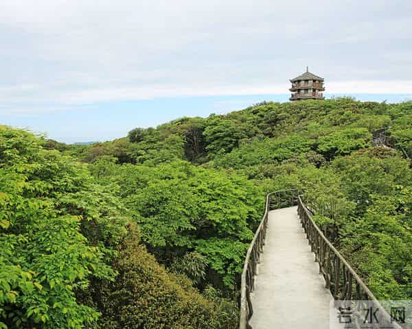 重庆到金佛山路线