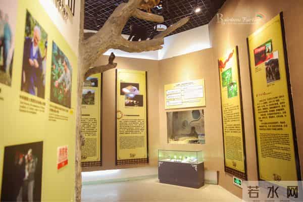 重庆金佛山自驾旅游