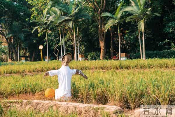 西双版纳住宿攻略推荐