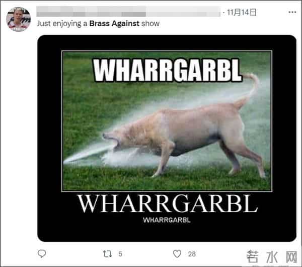 乌里斯塔:美国音乐节令人瞠目结舌一幕,警方已介入调查