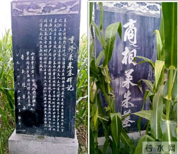 曹县翰林院视频