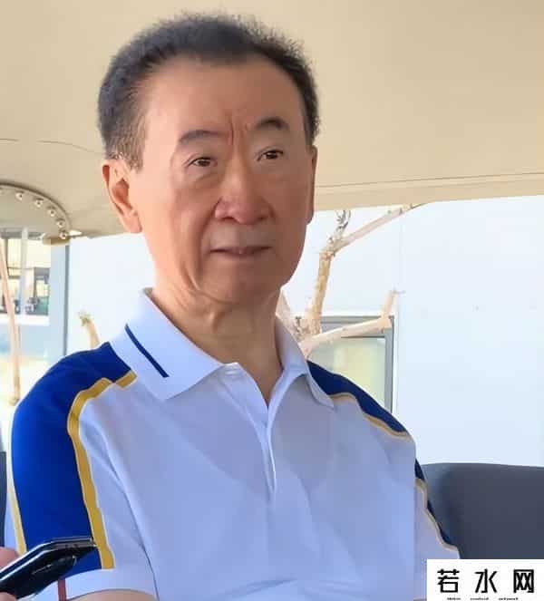 王思聪没想到，71岁父亲王健林上黑名单，他却在日本潇洒挥霍