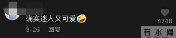 重庆猪儿虫轻轨