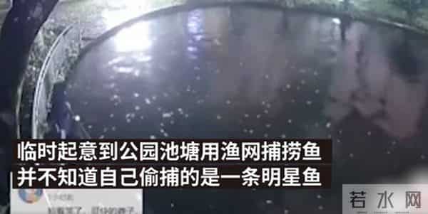 明星鱼莽子：重庆明星鱼莽子被吃掉，行拘四人