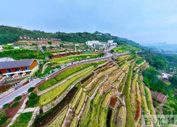 金鳌山:秋日金鳌山 五彩梯田美