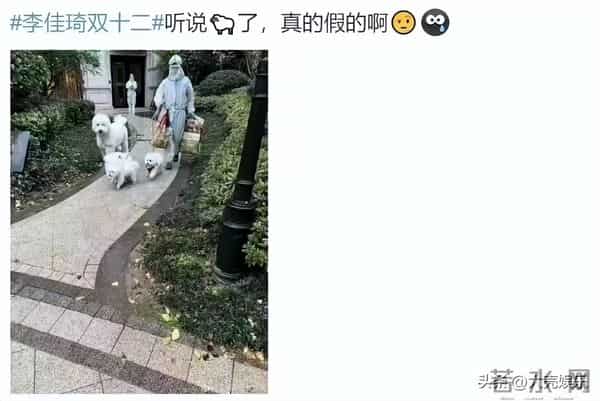 李佳琪停播原因