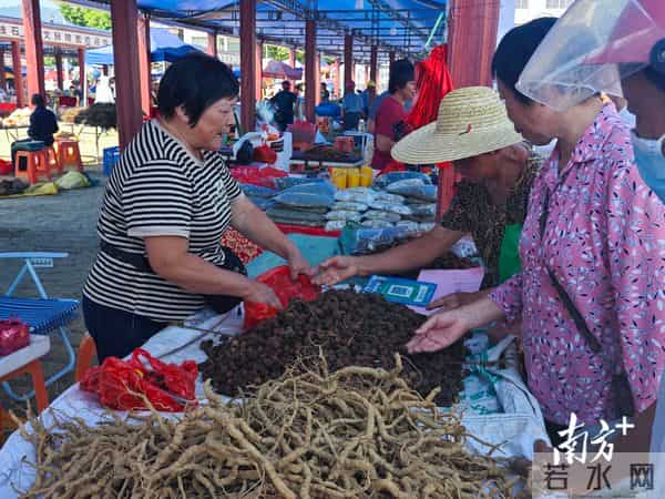 洋版李宗瑞:南方深读丨解析阳春重阳古墟“破圈”之路