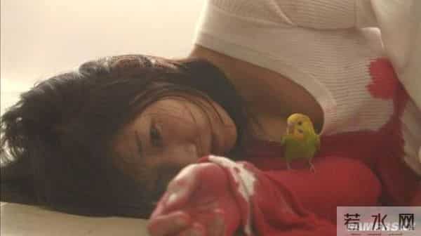 泽尻绘里香电影