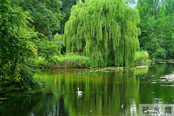 我还是觉得幸福更多