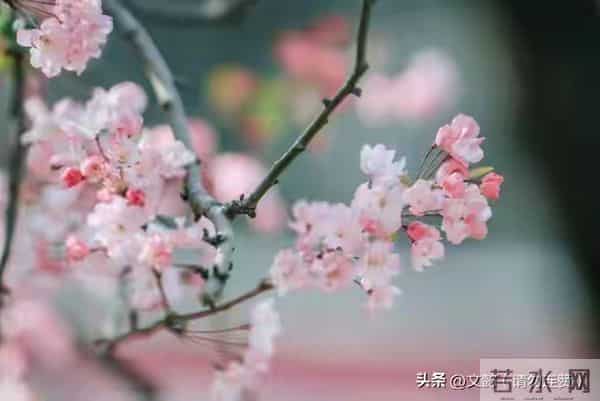 孩子你慢慢来妈妈会等你