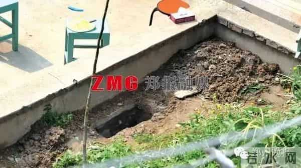 小明涵:五岁男童命丧邻居家花坛,凶手昨天被执行死刑!郑报融媒带你回顾案情