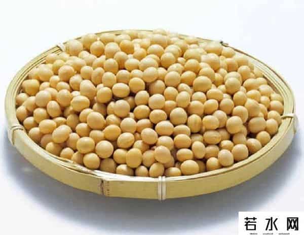 中国拒购美国大豆，美国土安全部表示哪怕政府停摆，关税也继续收
