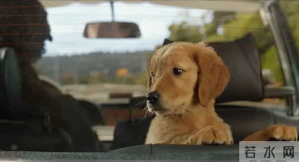 贾沛然：“21岁确诊超雄，但我不是天生坏种”