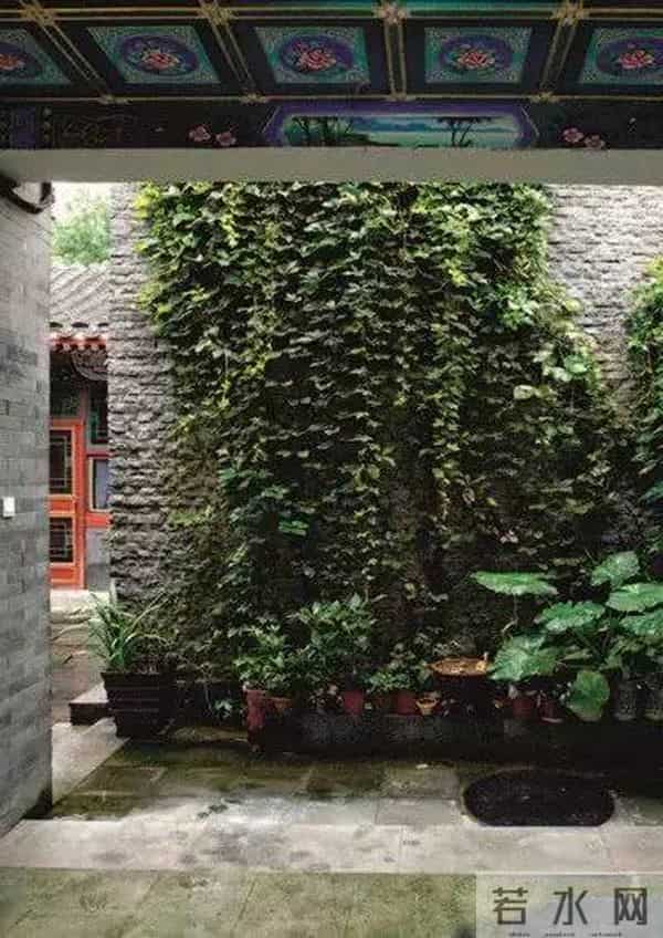 杨丽萍住所曝光