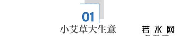 千亿级艾草产业，皖北有机会