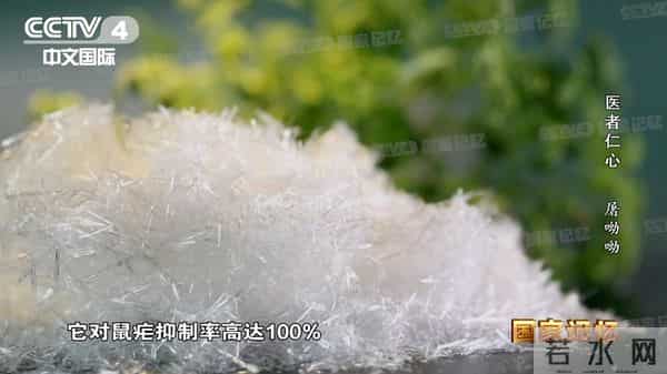 李廷钊:她和女儿骨肉分离数年 只为实现一个朴素的愿望