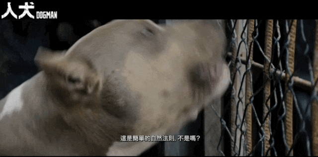 许光汉裸体：顶级女星全裸回归，尺度和口碑都爆了