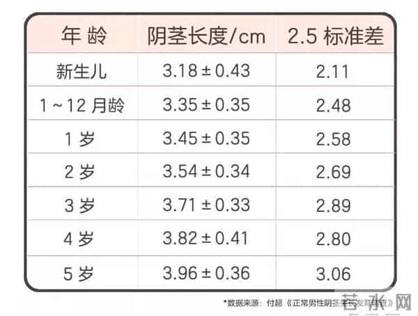 小JJ：男宝私处说明书：包皮、蛋蛋、小 JJ，这些问题必须得知道