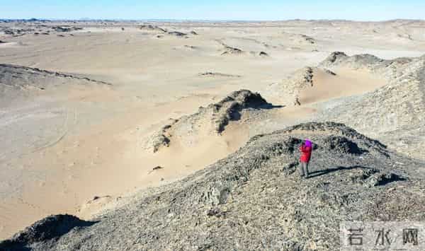 骑尼玛：“守边奶奶”尼玛：18万公里巡边路，53载家国情