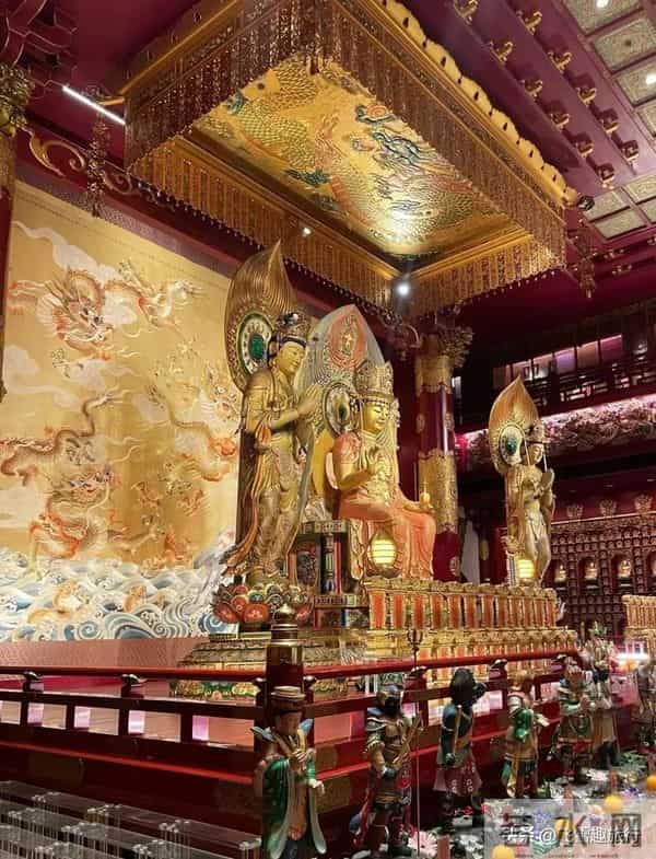 印度自助游:新加坡自由行必备,一文解锁签证,景点,吃住玩超详细攻略