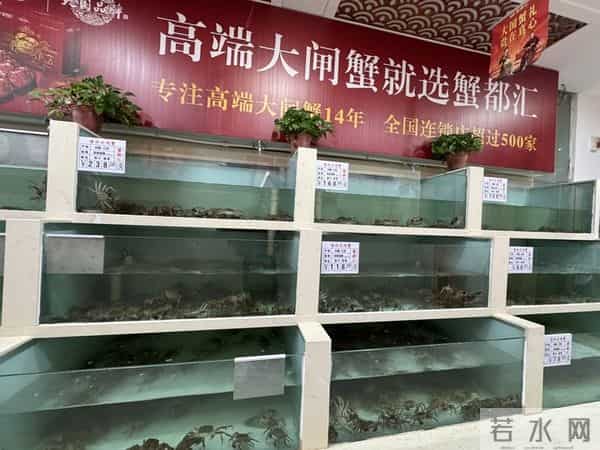 手机壳团购：型号蟹卡“标价”高背后：1—4折可入手，有品牌蟹卡被“黄牛”拒收 - 大闸蟹市场调查·蟹卡乱局②