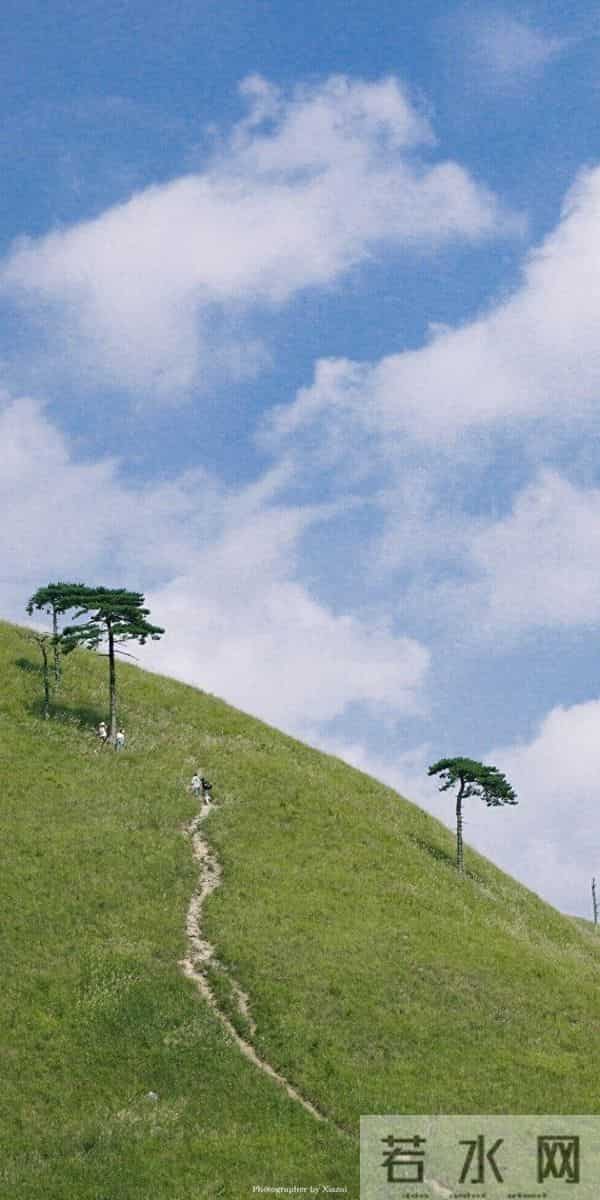 十二年后的重逢