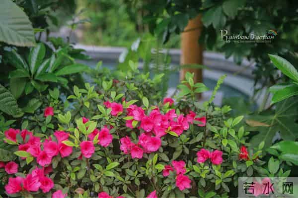 重庆金佛山自驾旅游