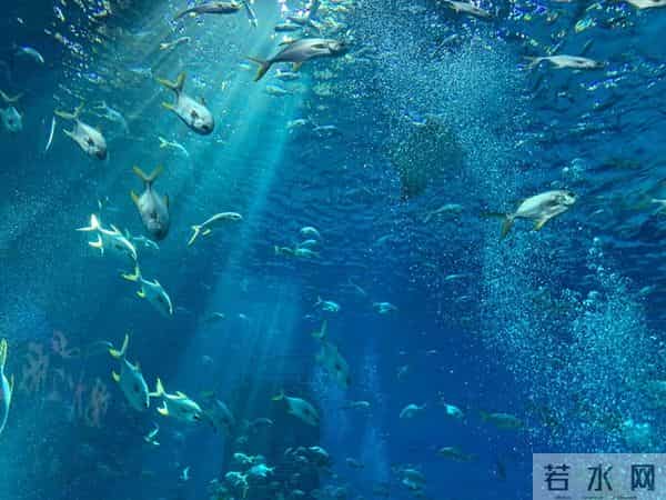 为什么只有日本有核废水