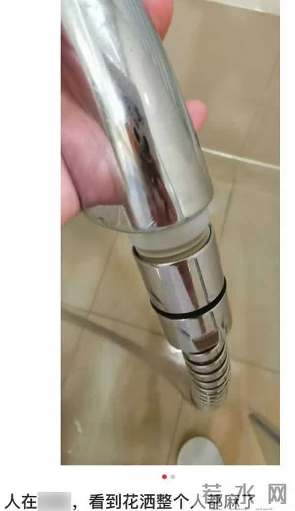 西湖国宾馆:住过300块的国宾馆,感觉五星级酒店都不香了