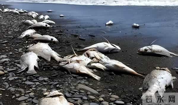 日本护肤品辐射名单