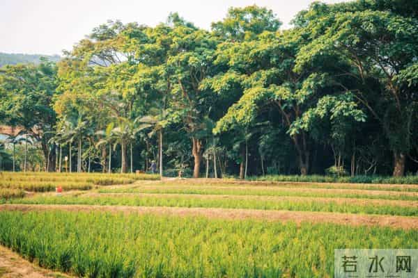 西双版纳住宿攻略推荐