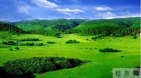 隆鑫花漾的山谷