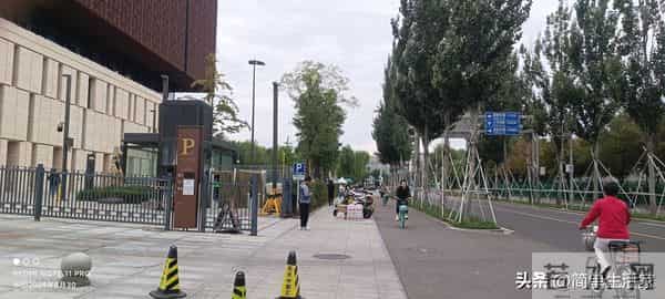 收入越高越不自由