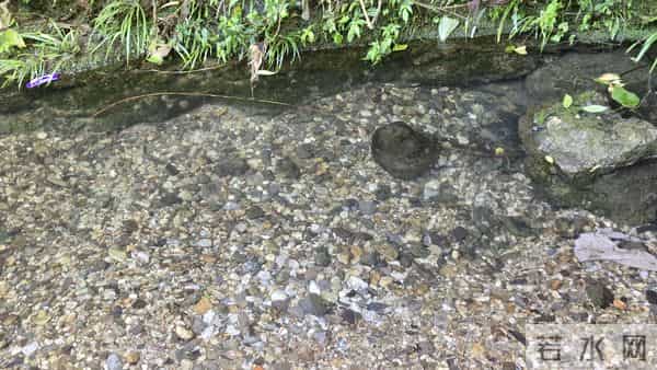 邻水天意谷:邻水·华蓥山天意谷