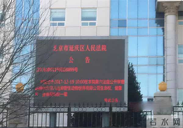 老虎伤人女主角摘口罩