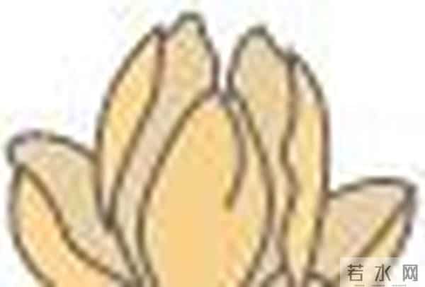 吸乳器使用说明