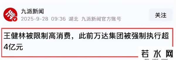 王思聪没想到，71岁父亲王健林上黑名单，他却在日本潇洒挥霍