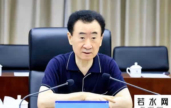 71岁王健林限高取消，暴瘦还债卖广场，儿子王思聪却在潇洒度假
