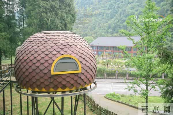 重庆金佛山自驾旅游